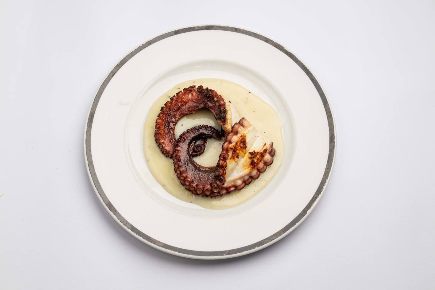 Grilled Octopus