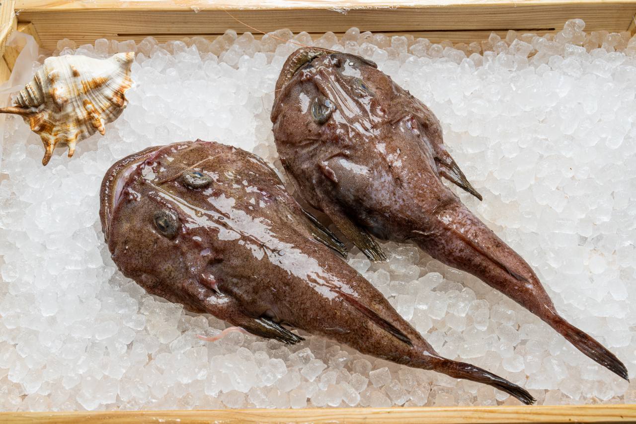 Peshkatriçe