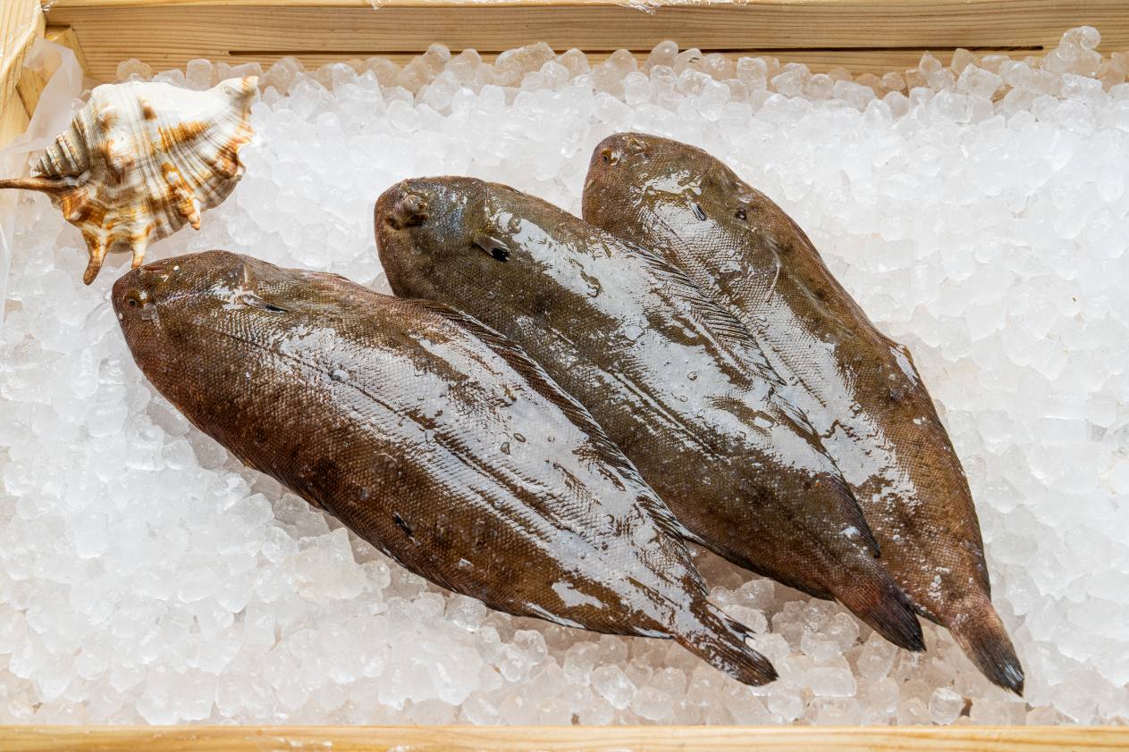 Gjuhëz Extra