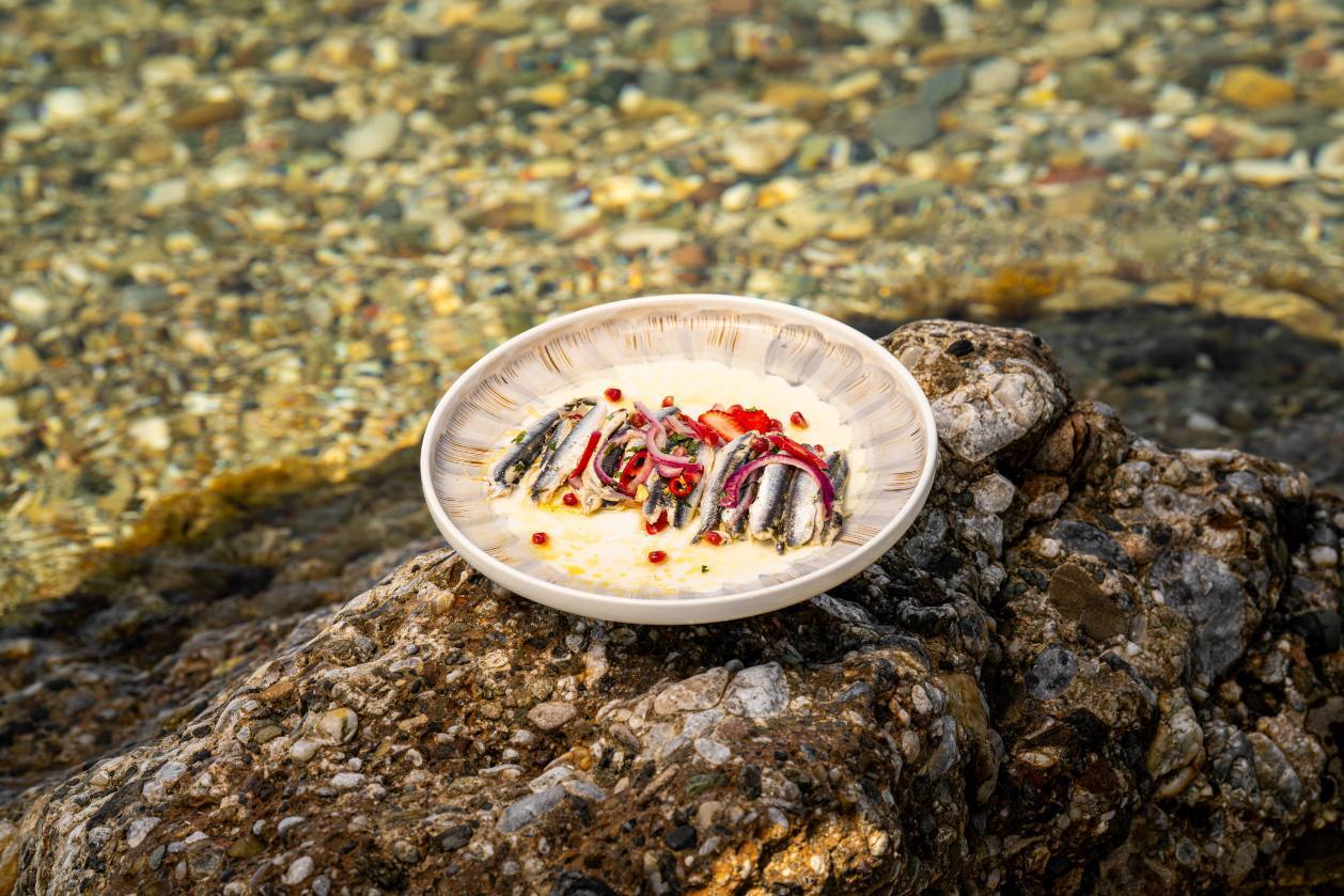 Marinated Anchovies