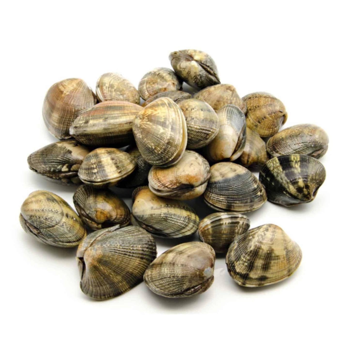 Vongole